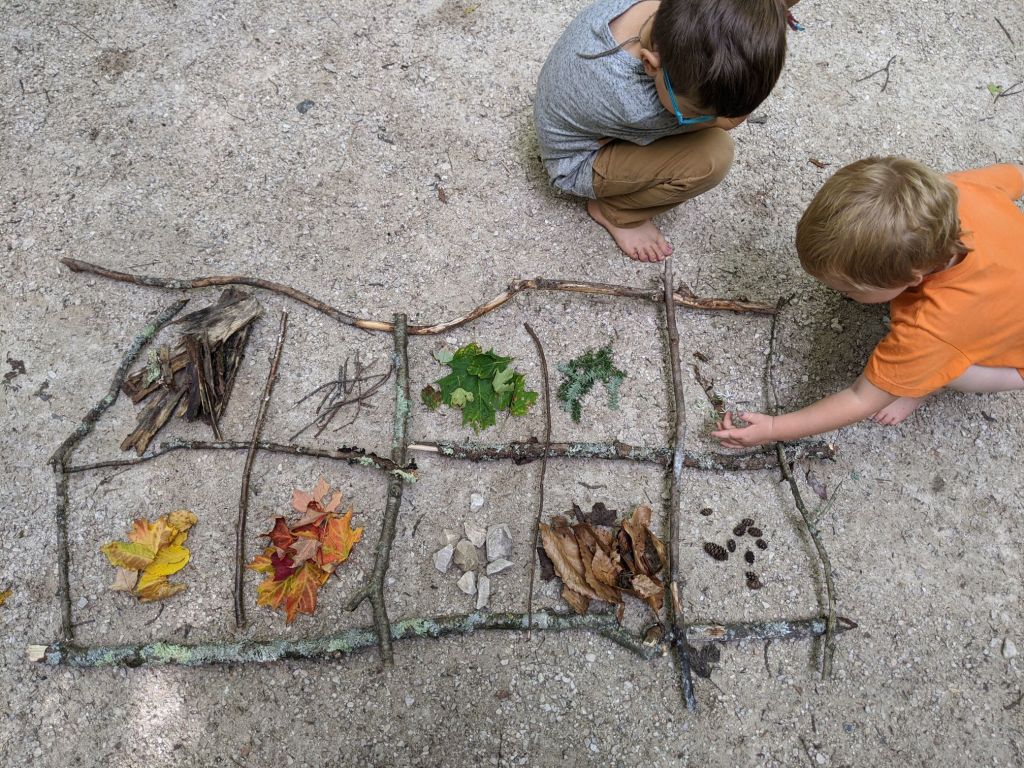 boys who roadschool learning leaves