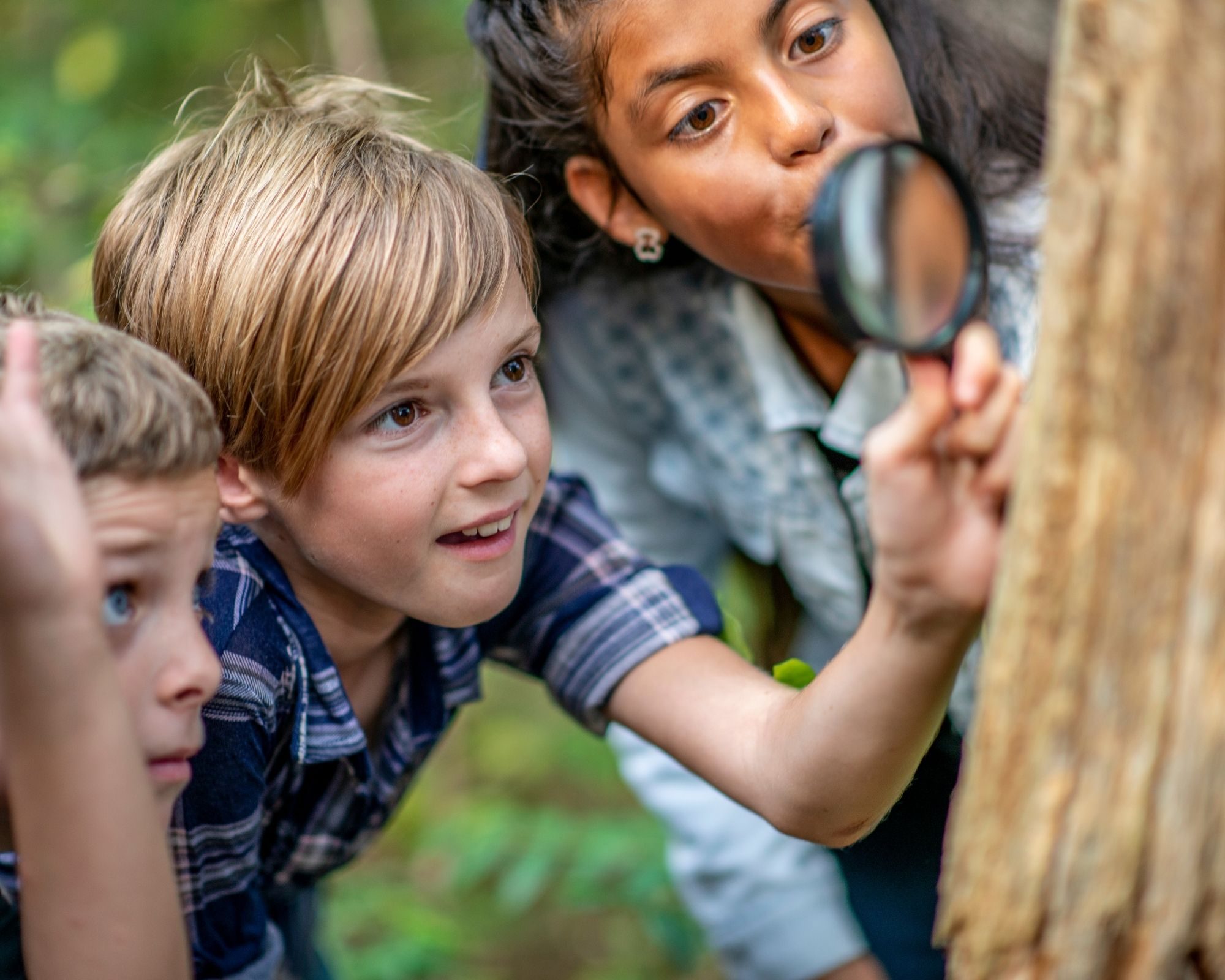 kids learn while hiking